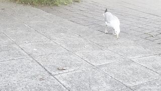 My video. 2