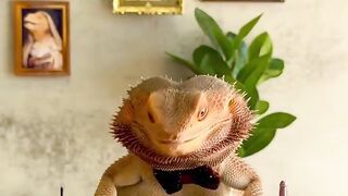 Distinguished gentleman fine dining