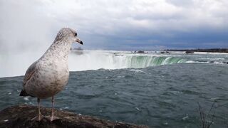 Niagara falls 2