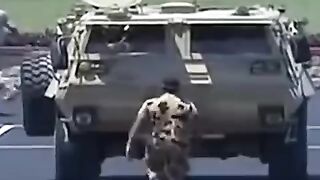 رجال السعقه المصري