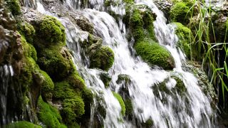 nature 34