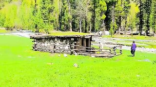 status,status video,status song,status whatsap,beast song,good song,video,natural 770
