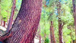 status,status video,status song,status whatsap,beast song,good song,video,natural 773