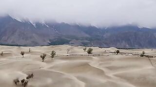 status,status video,status song,status whatsap,beast song,good song,video,natural 782