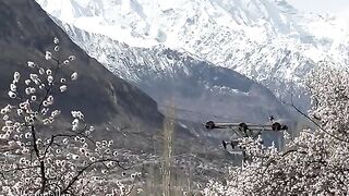 status,status video,status song,status whatsap,beast song,good song,video,natural 799