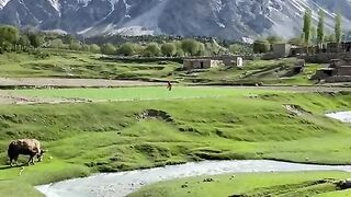 status,status video,status song,status whatsap,beast song,good song,video,natural 800