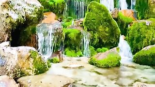 status,status video,status song,status whatsap,beast song,good song,video,natural 801