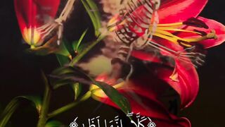 Quran Al Kareem 71