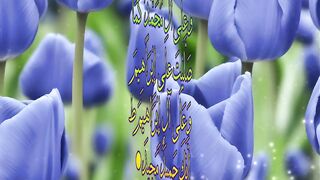 Quran tilawat 24