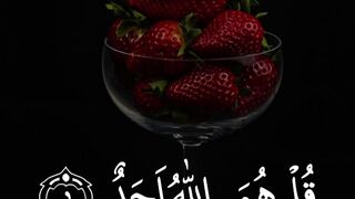 Quran Surah 55
