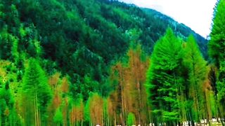 Kumrat Valley ka Purana Pull #kumrat #kumratvalley #kumratvalleypakistan #kumrat_valley #kpk
