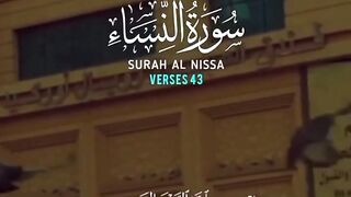 Quran 317