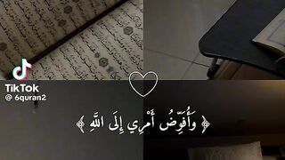 Tiktok 388