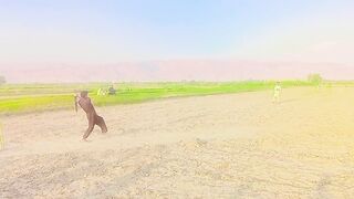 Crickets video