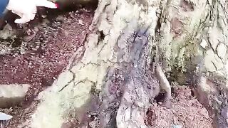 Mustika ball under the tree