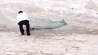 Catch fish in sea shore