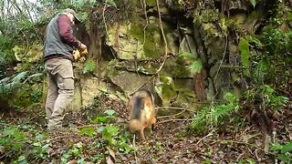 "6-Day Journey: Building a Natural Living Shelter with a Fireplace | Daily Nature Skills"