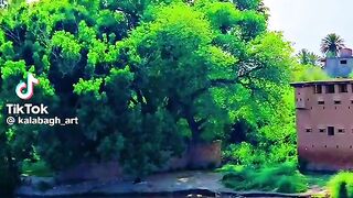 Malik video 5