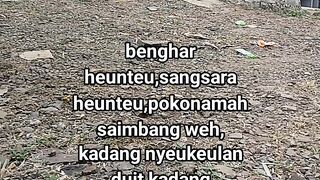 ayam broiler || kata kata lucu 525