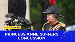 Princess Anne Suffers Concussion