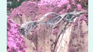 Suspension bridge 2