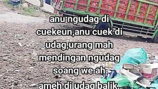 ayam broiler || kata kata lucu 526