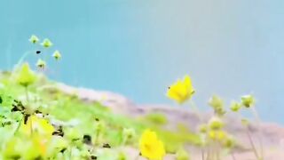 status,status video,status song,status whatsap,beast song,good song,video,natural 817