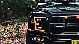 The Ford