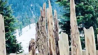 status,status video,status song,status whatsap,beast song,good song,video,natural 828
