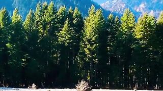 status,status video,status song,status whatsap,beast song,good song,video,natural 830