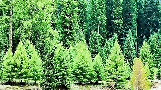 status,status video,status song,status whatsap,beast song,good song,video,natural 835