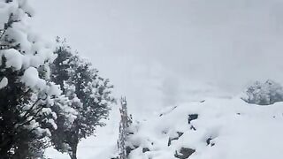 status,status video,status song,status whatsap,beast song,good song,video,natural 837