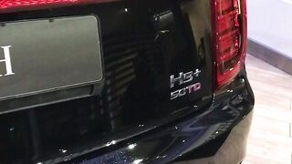 Watch the black Hongqi H9+New luxury  car