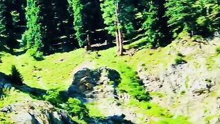 status,status video,status song,status whatsap,beast song,good song,video,natural 844