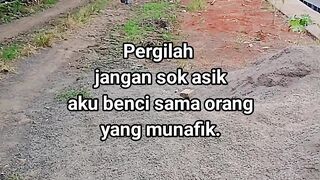 ayam broiler || kata kata lucu 529