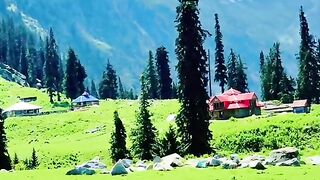 status,status video,status song,status whatsap,beast song,good song,video,natural 849