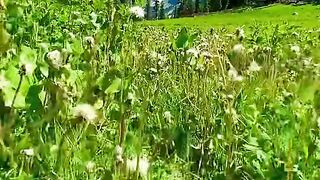 status,status video,status song,status whatsap,beast song,good song,video,natural 859