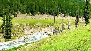 status,status video,status song,status whatsap,beast song,good song,video,natural 860