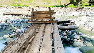 status,status video,status song,status whatsap,beast song,good song,video,natural 864