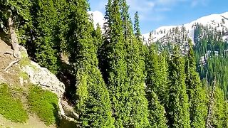 status,status video,status song,status whatsap,beast song,good song,video,natural 877