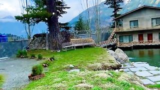 status,status video,status song,status whatsap,beast song,good song,video,natural 878