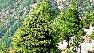 status,status video,status song,status whatsap,beast song,good song,video,natural 880