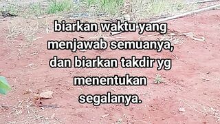 ayam broiler || kata kata lucu 530