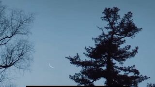 NORTHEAST FOLKTALES (2024) part 7