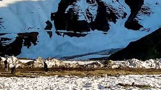 status,status video,status song,status whatsap,beast song,good song,video,natural 891