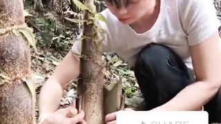 Bamboo shoot