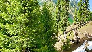 status,status video,status song,status whatsap,beast song,good song,video,natural 892