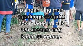 ayam broiler || kata kata lucu 532