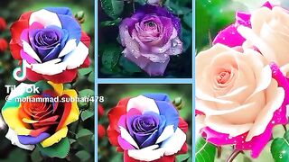Beautiful ???????? 3