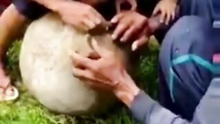 Tertawalah sebelum tertawa itu dilarang ????